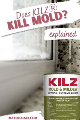 Does Kilz Paint Kill Mold: Exploring the Myths and Realities of Mold Prevention