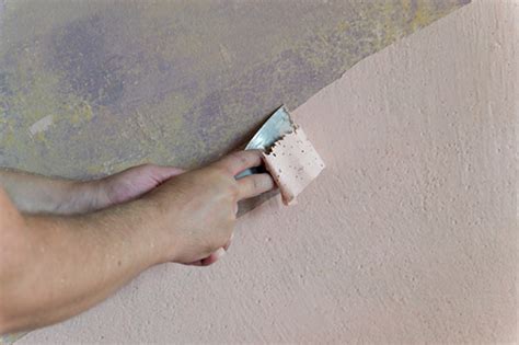 How to Blend New Paint with Old Paint on Wall: A Journey Through Colors and Time