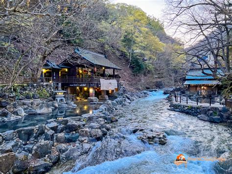 新潟 日帰り温泉 安い：温泉と地元グルメの融合