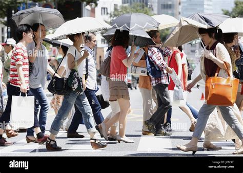 雨の日 お出かけ 関東 大人：雨の日の大人の関東散策