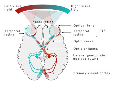  Ways of Seeing - A Philosophical Journey Through Visual Literacy and Cultural Conditioning