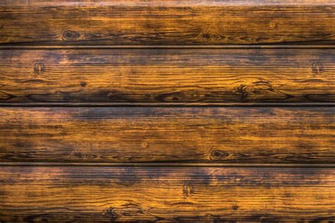 Why is My Wooden Furniture Going Mouldy? And Why Do Cats Suddenly Hate It?