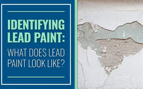 Why Was There Lead in Paint: A Journey Through History and Chemistry